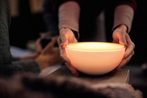Philips Hue Go LED Tischleuchte - 12