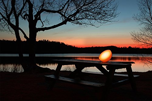 Philips Hue Go LED Tischleuchte - 13