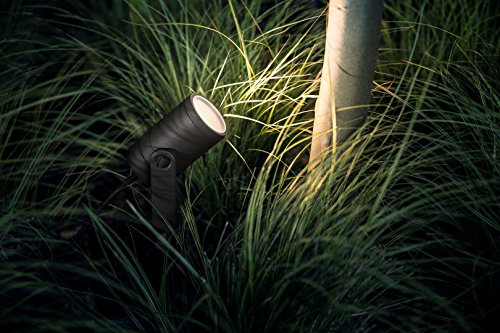 Philips Hue Lily LED Gartenstrahler Outdoor - 15