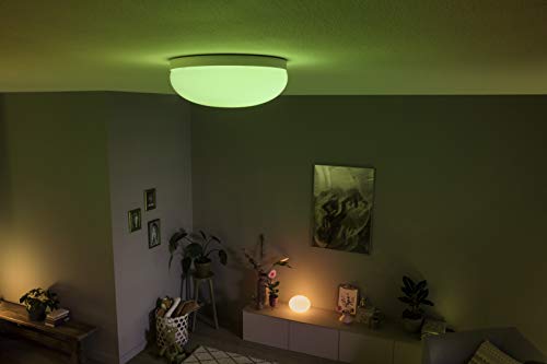 Philips Hue Flourish LED Deckenleuchte - 6